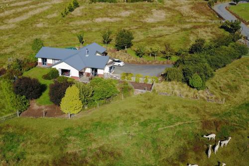 Alpaca Farmstay