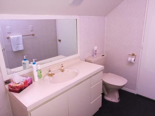 Bed & Breakfast Stay At Jellie Park