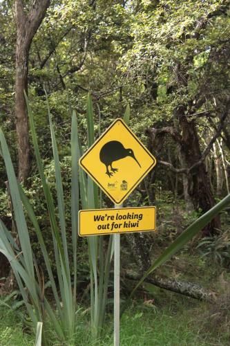 Lodge Aroha Island
