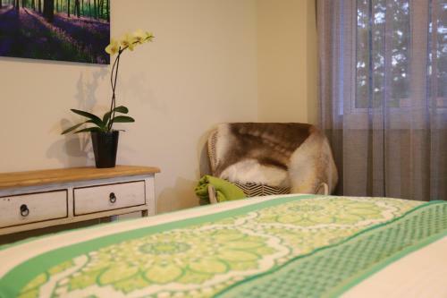Bed & Breakfast Villa93