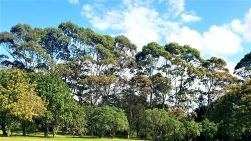Bed & Breakfast Clareview Mangawhai