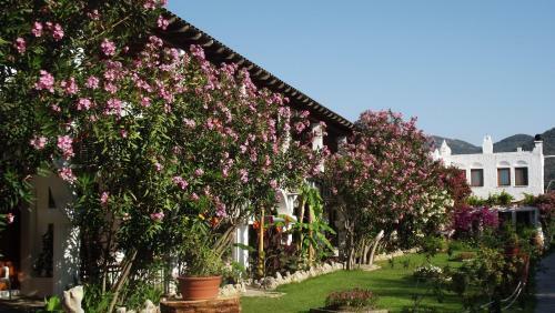 Mandalya Hotel