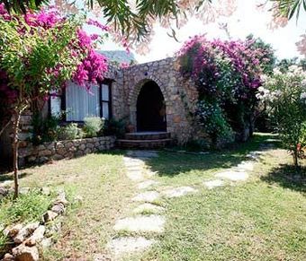 Hostal Antik Zeytin Hotel & Art