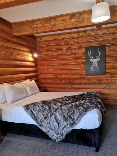 Mt Lyford Lodge