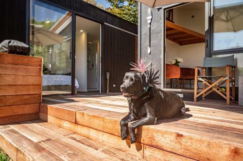 Bearsden Bed & Breakfast Queenstown