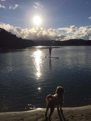 Hostal Estuary Retreat Whangamata