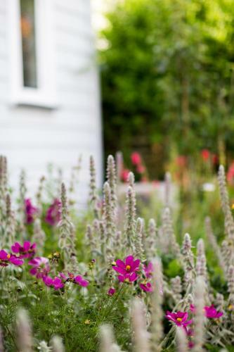 Coghill Cottage
