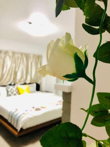 Bed & Breakfast Westminster Holiday Home