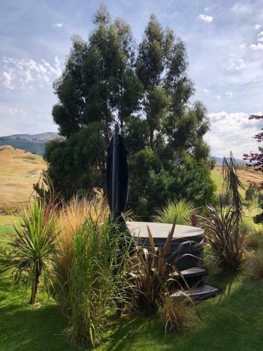 Bed & Breakfast Speargrass Rise