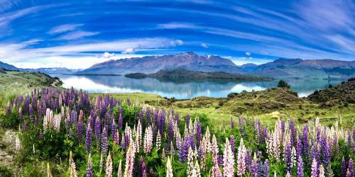 Amazing Queenstown Luxury Apartment