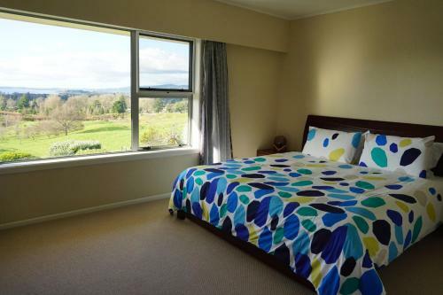 Aww Sheep-uninterrupted Magnificent View