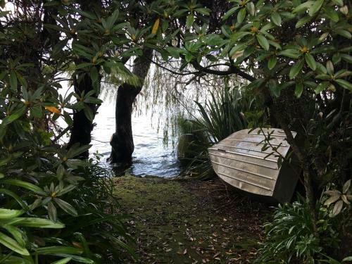 The Willows