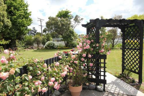 Bed & Breakfast Pukepapa Lodge