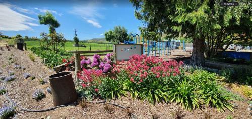 Motel Clutha Gold Cottages