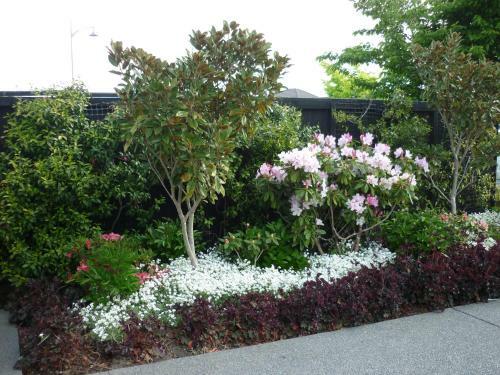 Bed & Breakfast Courtenay B & B