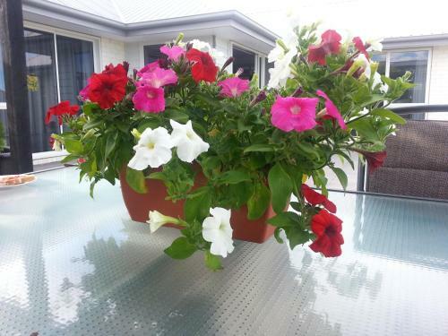 Bed & Breakfast Courtenay B & B