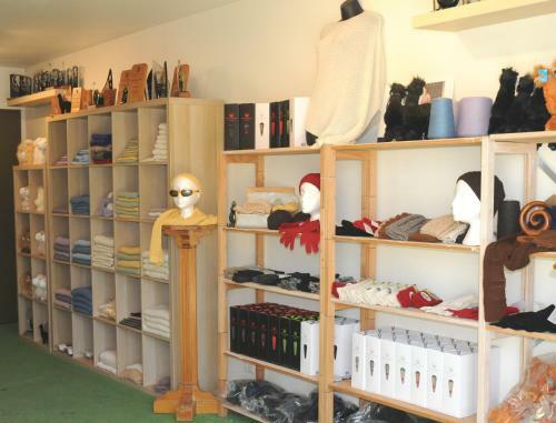 Agroturismo Silverstream Alpaca Farmstay & Tour
