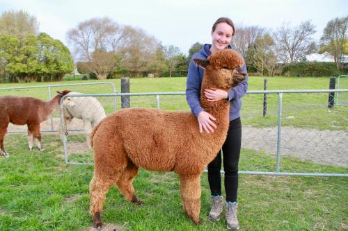 Agroturismo Silverstream Alpaca Farmstay & Tour