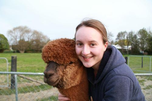 Agroturismo Silverstream Alpaca Farmstay & Tour