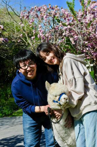 Agroturismo Silverstream Alpaca Farmstay & Tour