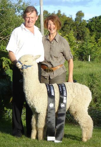 Agroturismo Silverstream Alpaca Farmstay & Tour