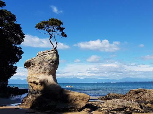 Bed & Breakfast Abel Tasman Sands Bnb