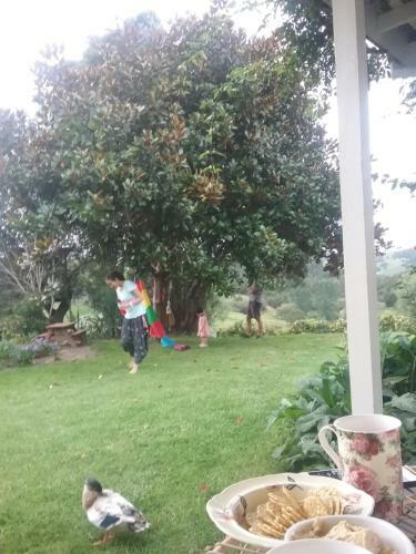 Bed & Breakfast Hokianga Farmstead Lodge