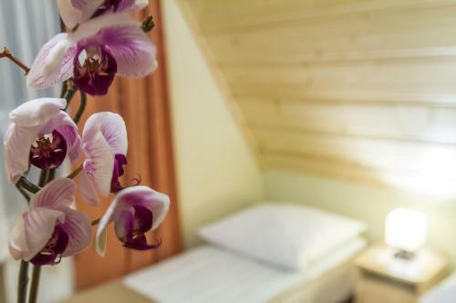 Apartamenty Bukowina