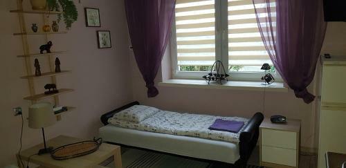 Hostal Pensjonat Europa