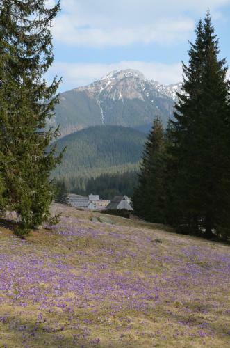 Hostal Jedla Miejsce Go?cinne