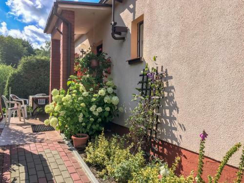 Apartment Brodnica Dolna