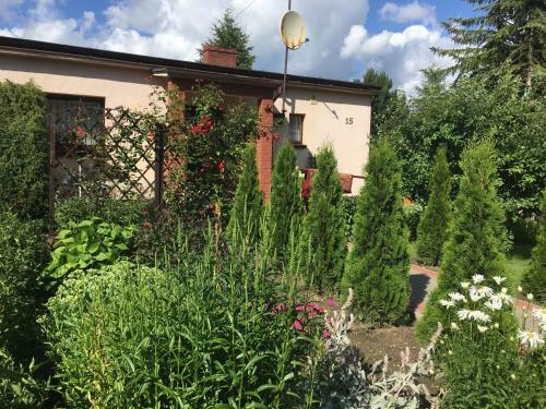 Apartment Brodnica Dolna