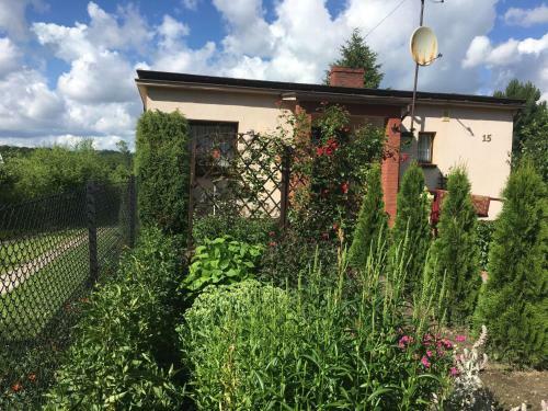 Apartment Brodnica Dolna