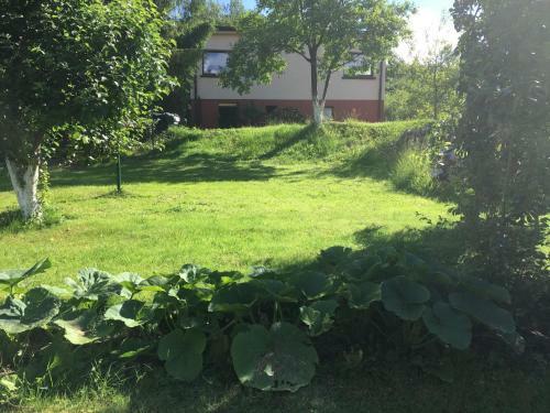 Apartment Brodnica Dolna