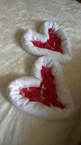 Hostal Noclegi Dw�r Szlachecki Biedacz�w