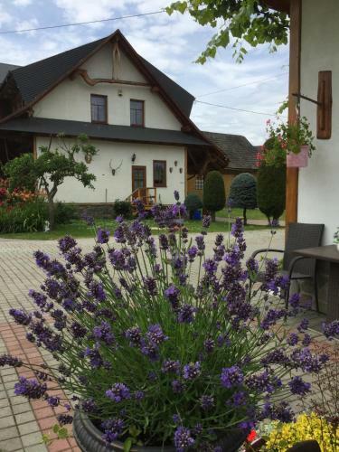 Hostal Dom Rodziny Sojk�w