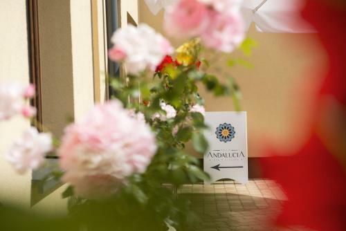Bed & Breakfast Villa Andalucia Spa & Leisure