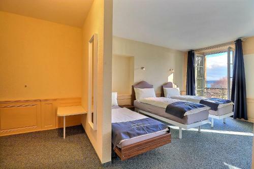 Hotel H�tel Restaurant Bellevue