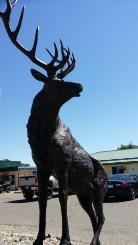 Century II Motel