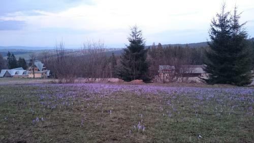 Hostal Willa Skorusyna