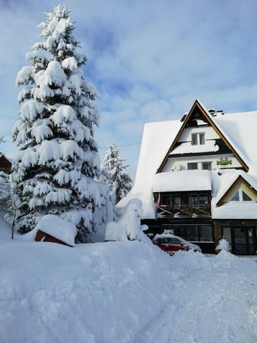 Hostal Willa Skorusyna