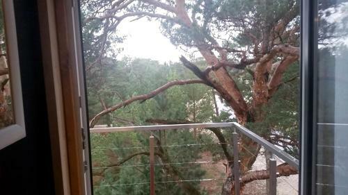 Apartamento Na Wydmach. Spok�j. Cisza. Las Dooko?a