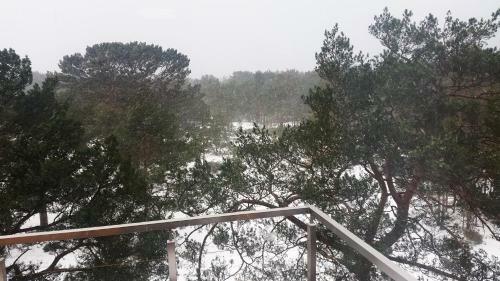 Apartamento Na Wydmach. Spok�j. Cisza. Las Dooko?a
