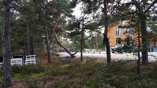 Apartamento Na Wydmach. Spok�j. Cisza. Las Dooko?a