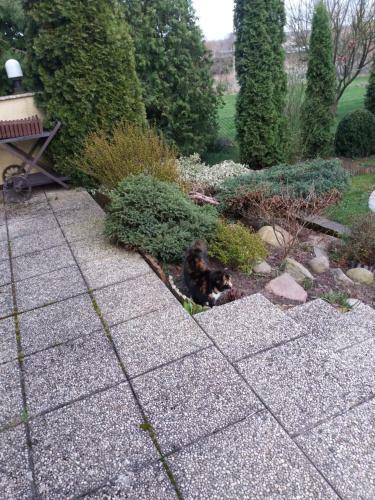 Haus Am Fluss