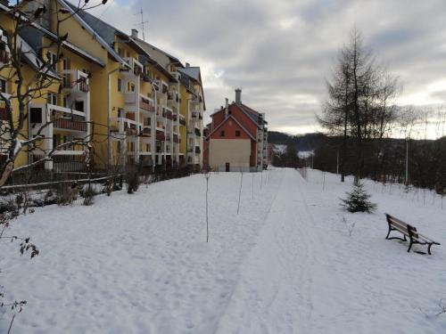 Apartament Czarny Potok
