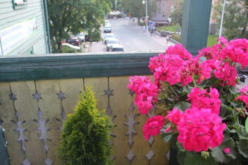 Apartament Cis Przy Deptaku