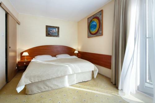 Hotel Wodnik