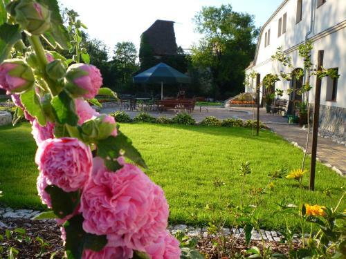 Agroturismo Aronia Park