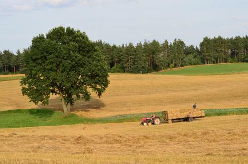Villa Wyspa ?wierk�w
